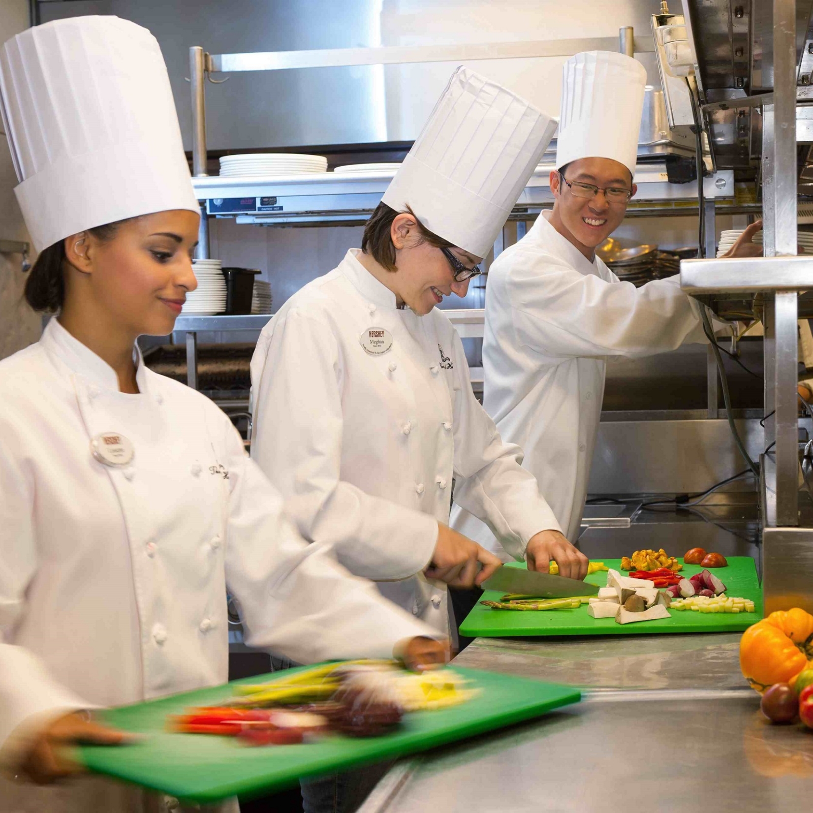 Internships Hershey Entertainment & Resorts