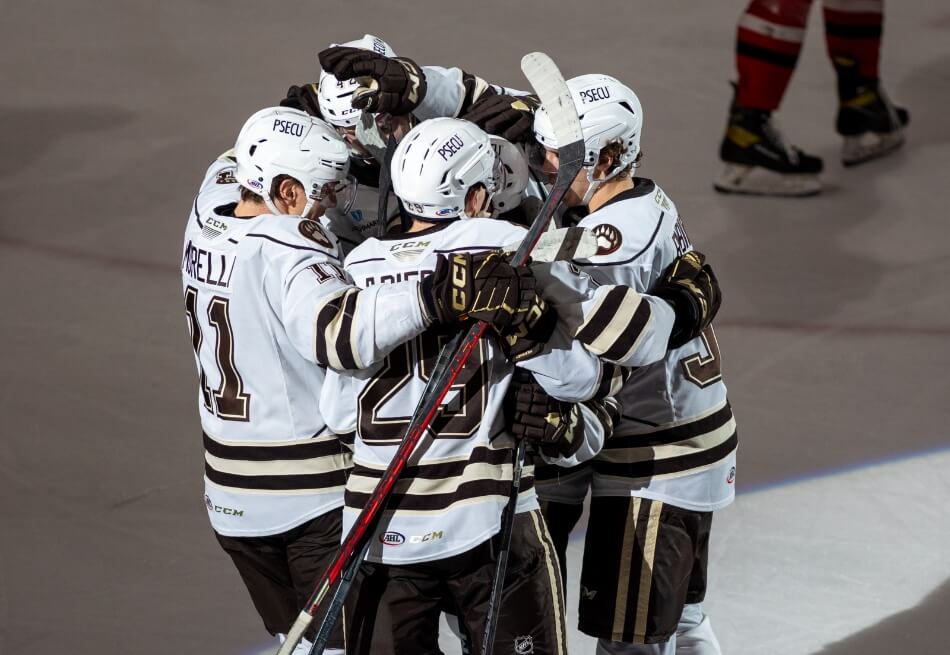 AHL - Hershey Bears Champions Calder Cup 2023 Hockey Jersey - BTF