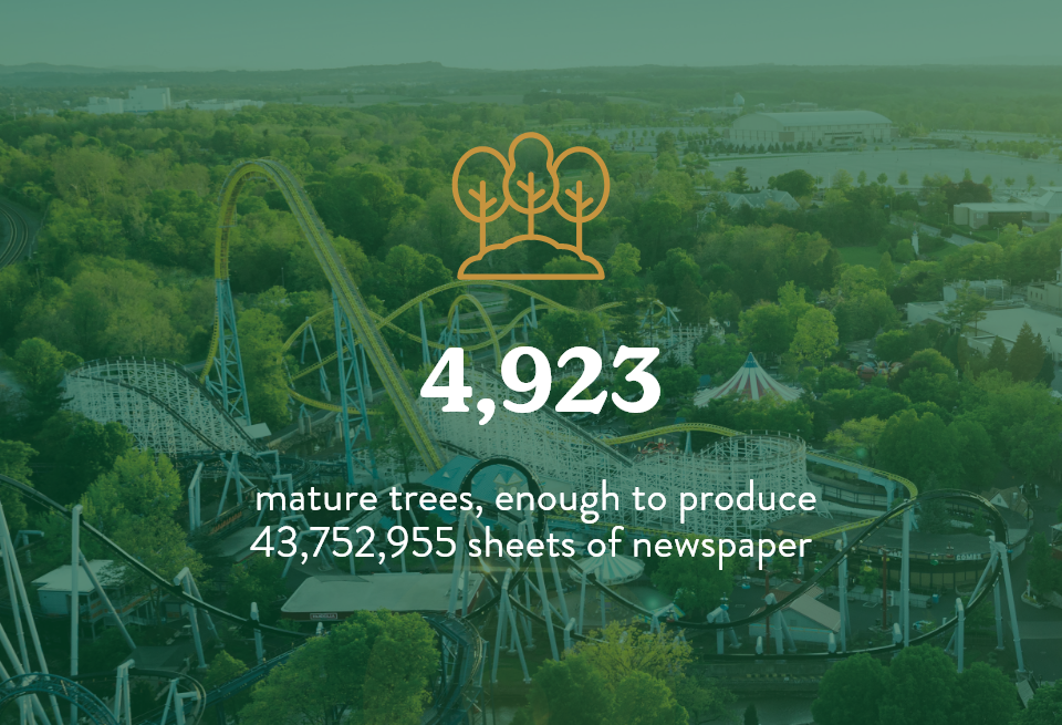 4923 mature trees, enough to produce 43752955 sheets of newspaper